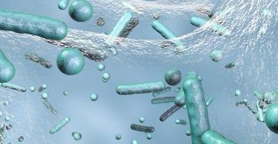 Legionella testing and risk assessment North London